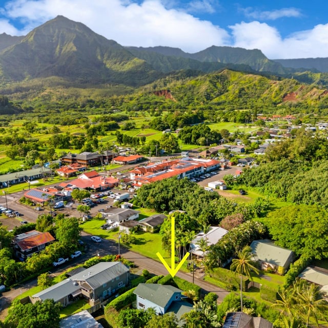 aerial view with a mountain view