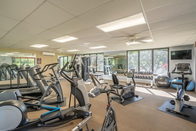 workout area with a wall mounted air conditioner, carpet floors, a drop ceiling, and ceiling fan