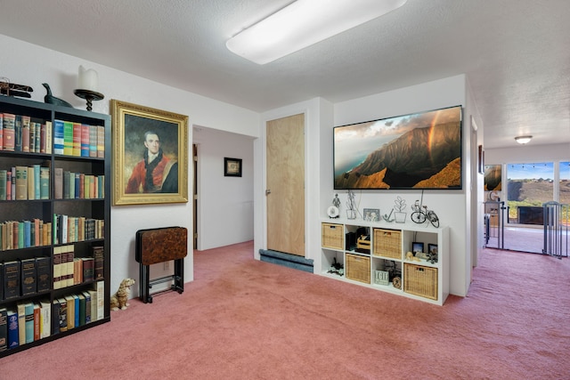 sitting room with carpet and a textured ceiling