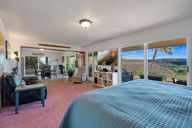 bedroom featuring carpet, a textured ceiling, and access to outside