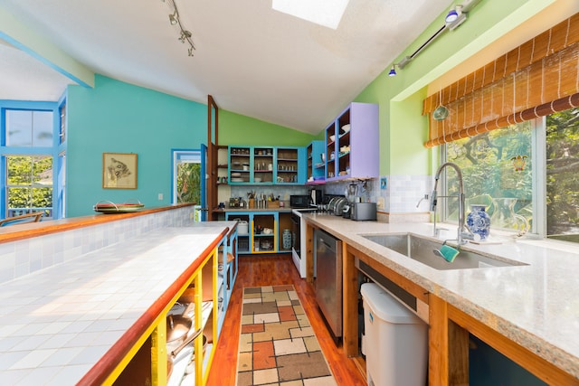 kitchen with dark hardwood / wood-style flooring, tasteful backsplash, plenty of natural light, and sink