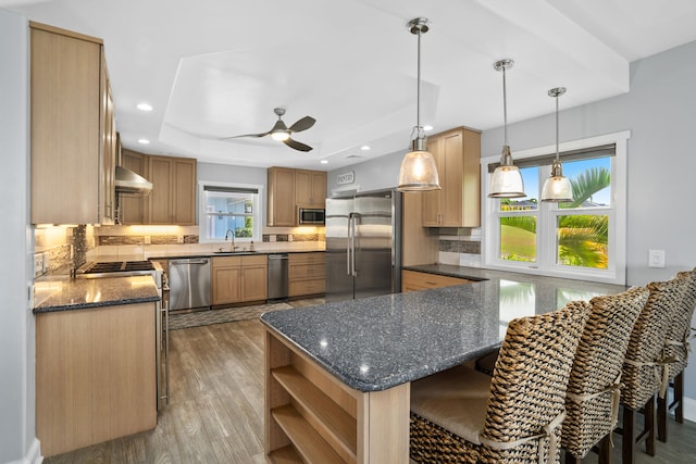 kitchen featuring appliances with stainless steel finishes, ceiling fan, sink, hardwood / wood-style flooring, and hanging light fixtures