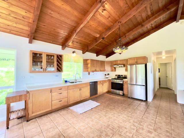 kitchen with beam ceiling, stainless steel appliances, a healthy amount of sunlight, and sink