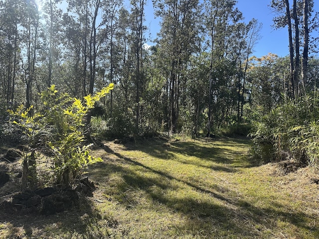 view of local wilderness