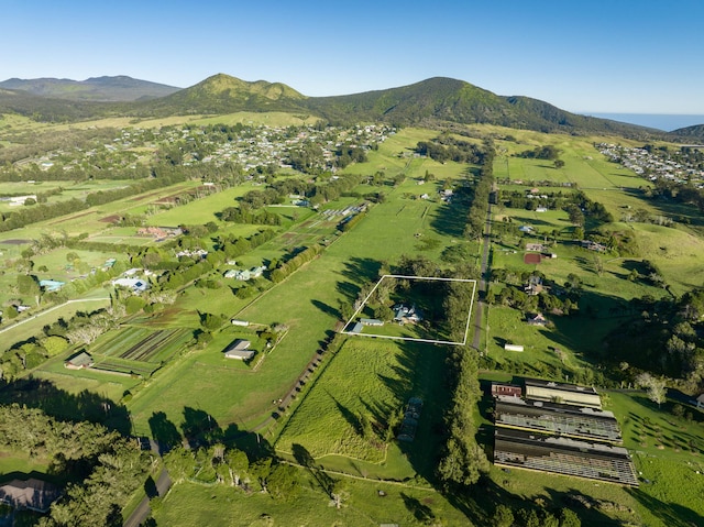 aerial view with a mountain view and a rural view