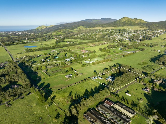 bird's eye view featuring a rural view and a water and mountain view