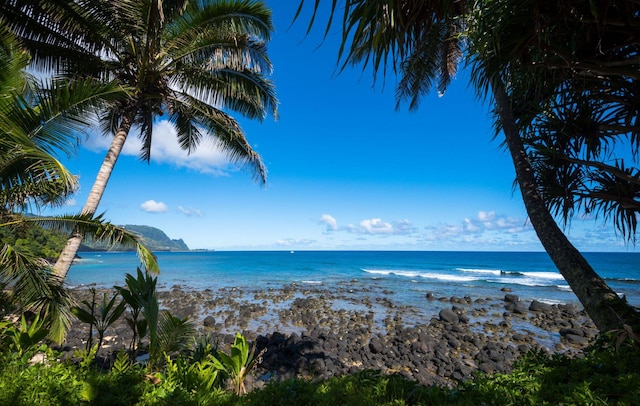 view of water feature with a view of the beach