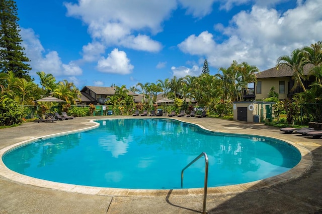 view of swimming pool with a patio area