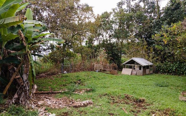 view of yard with an outdoor structure