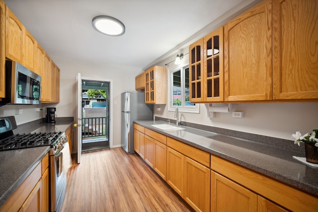 kitchen with stainless steel appliances, light hardwood / wood-style flooring, plenty of natural light, and sink