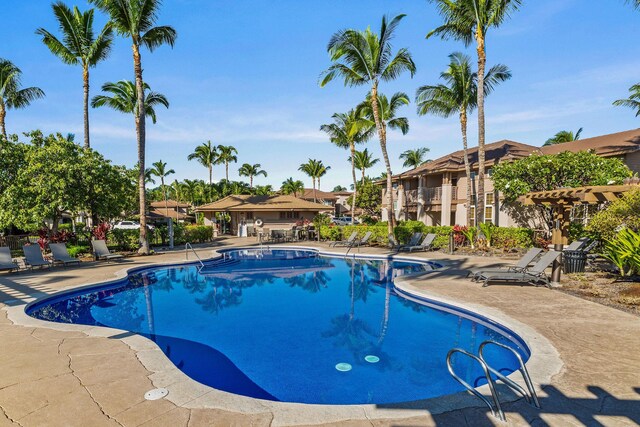 view of pool featuring a patio