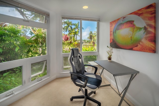 carpeted home office featuring plenty of natural light