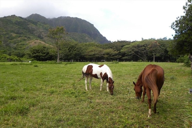 view of property's community with a mountain view and a rural view