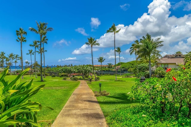 surrounding community featuring a yard