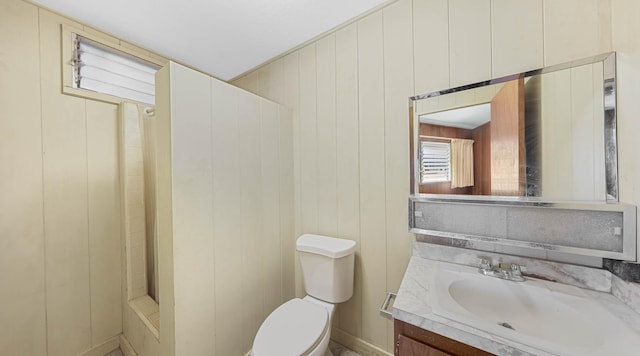 bathroom with vanity, a shower, and toilet