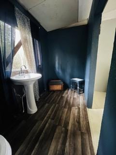 bathroom featuring hardwood / wood-style flooring