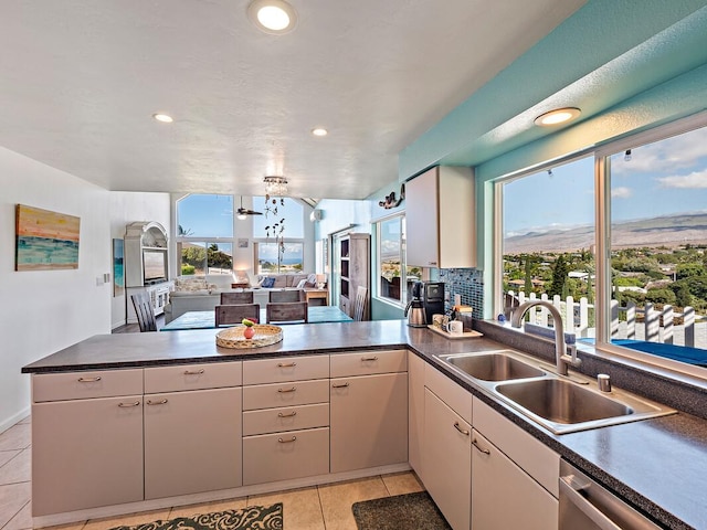 kitchen with kitchen peninsula, a wealth of natural light, sink, and stainless steel dishwasher