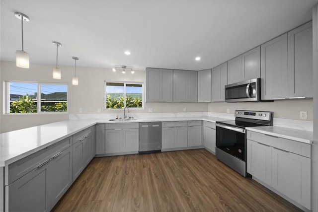 kitchen featuring dark hardwood / wood-style flooring, stainless steel appliances, gray cabinets, and sink