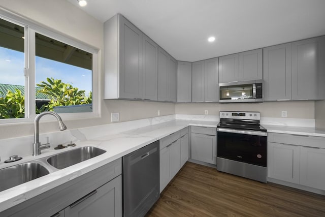 kitchen with gray cabinetry, dark wood-type flooring, and appliances with stainless steel finishes