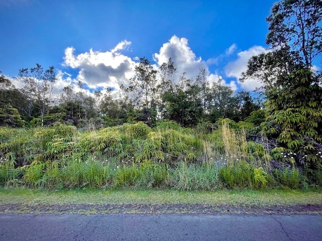 Pa Alii St, Volcano HI, 96785 land for sale