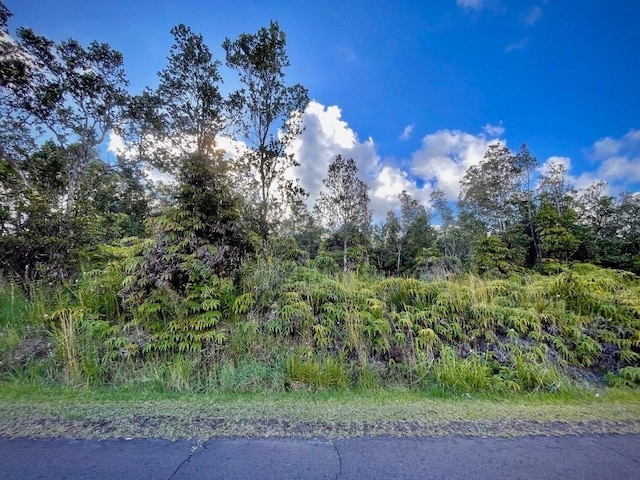 Listing photo 2 for Pa Alii St, Volcano HI 96785