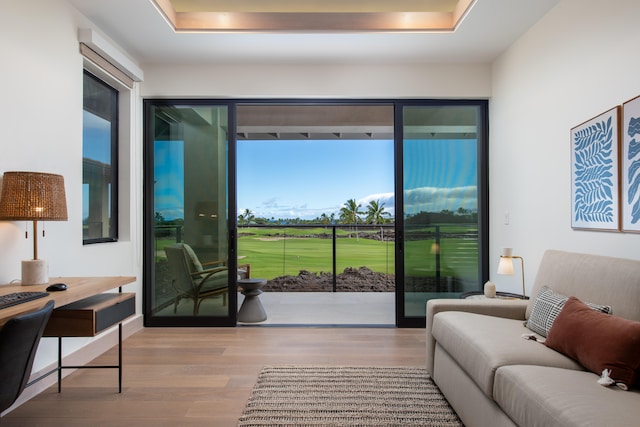 living room with hardwood / wood-style flooring and a tray ceiling