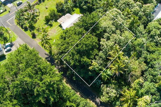 Palani St, Pahoa HI, 96778 land for sale