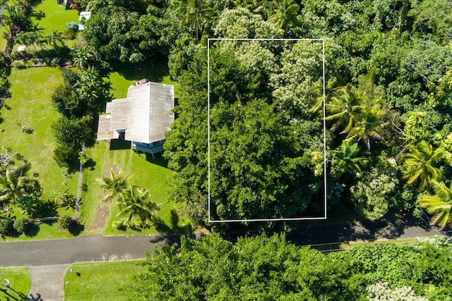 Listing photo 2 for Palani St, Pahoa HI 96778