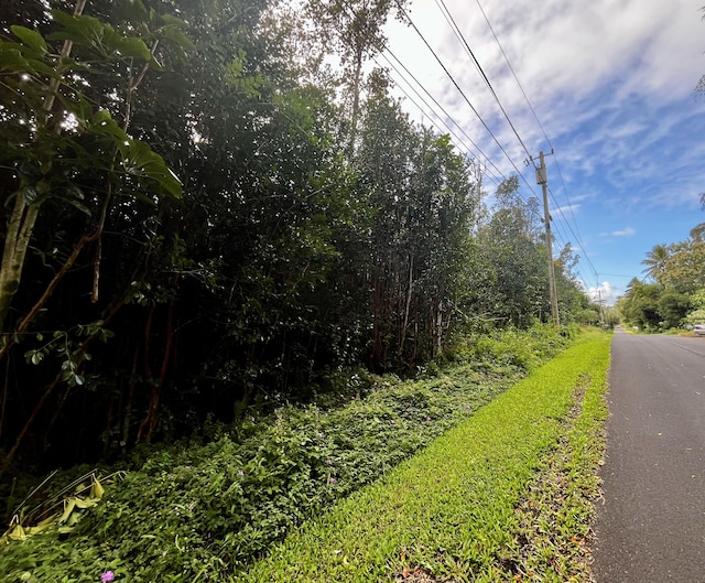 Listing photo 3 for N Kaku St, Pahoa HI 96778