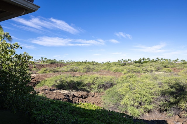 view of local wilderness