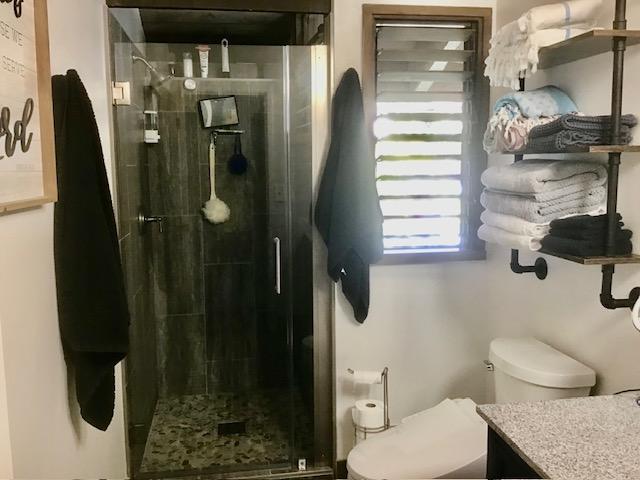 bathroom with vanity, toilet, and an enclosed shower