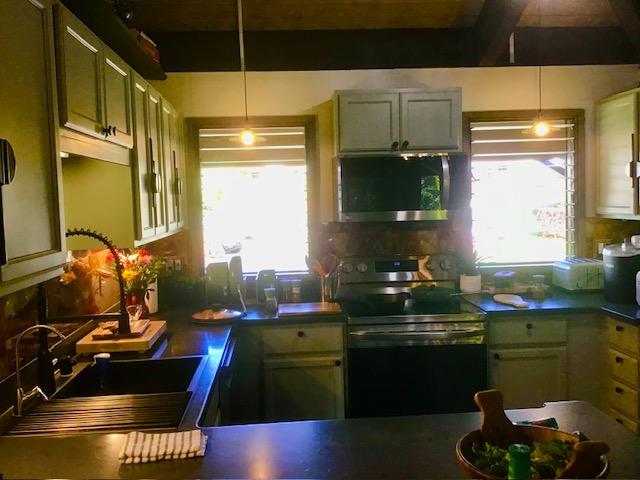 kitchen with a healthy amount of sunlight, sink, stainless steel appliances, and hanging light fixtures