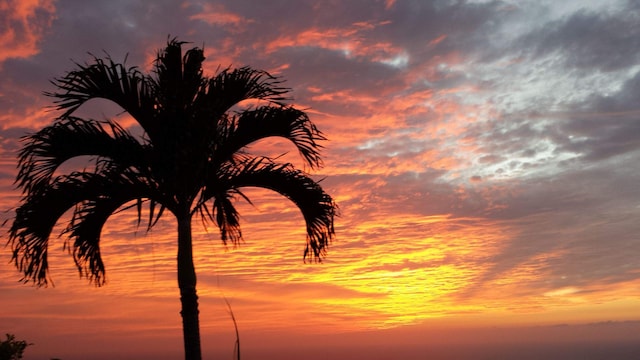 view of nature at dusk