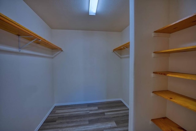 spacious closet featuring dark wood-type flooring