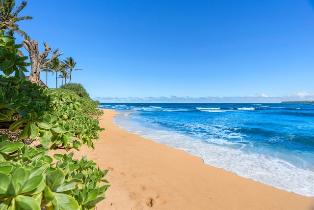 property view of water featuring a view of the beach