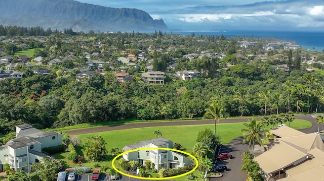 bird's eye view featuring a mountain view