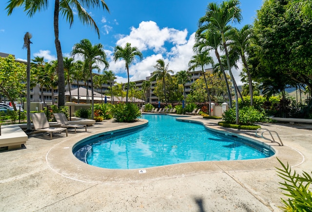 view of pool with a patio area