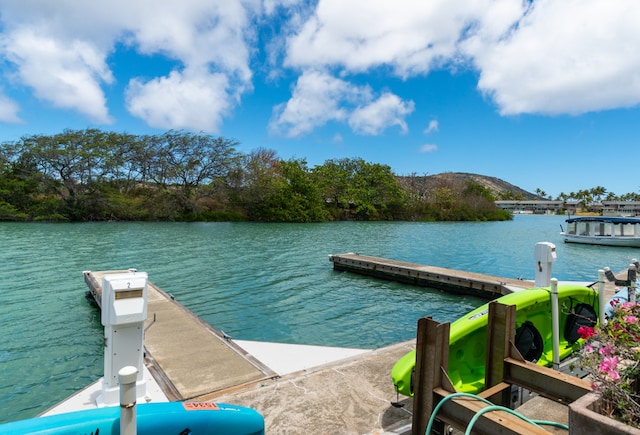 dock area featuring a water view