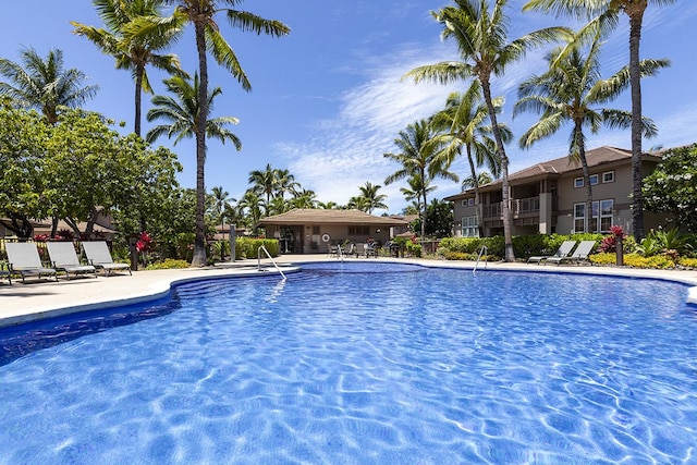 view of pool featuring a patio