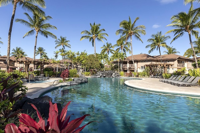 view of pool featuring a patio area