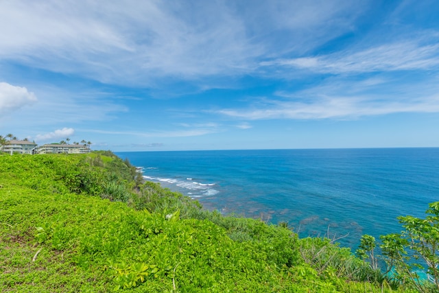 property view of water