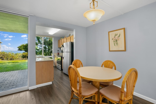 dining area featuring dark hardwood / wood-style floors