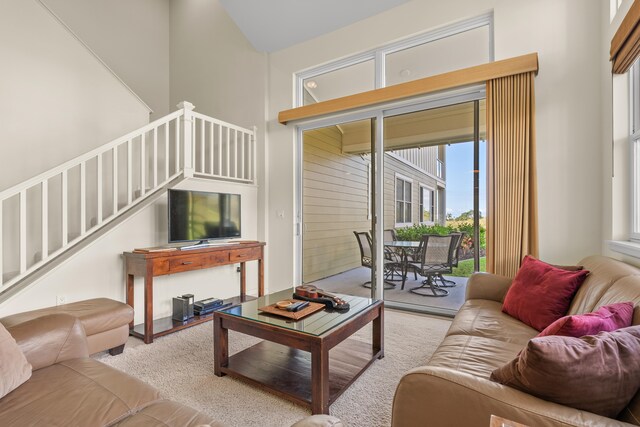 living room featuring a high ceiling and a wealth of natural light