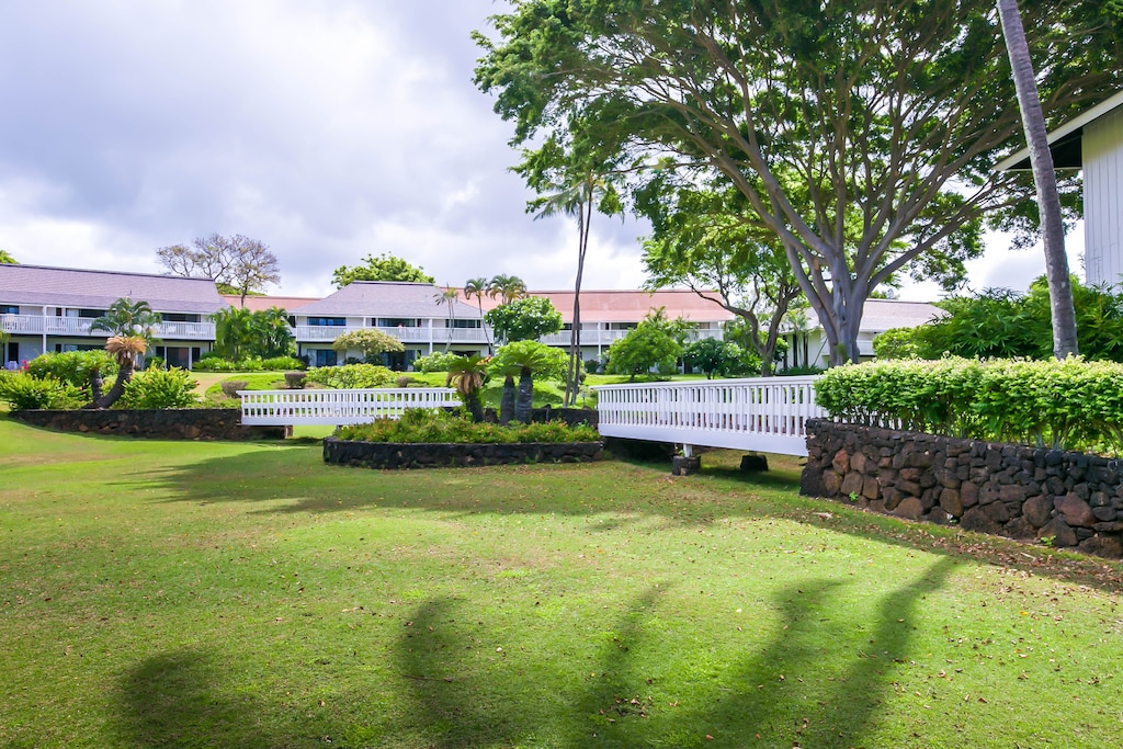 view of community featuring a yard