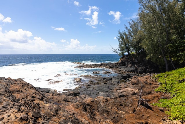 property view of water with a beach view