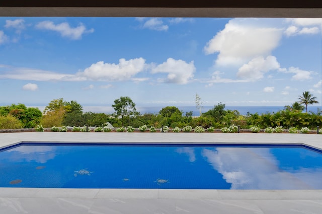 view of swimming pool