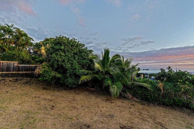 view of yard at dusk