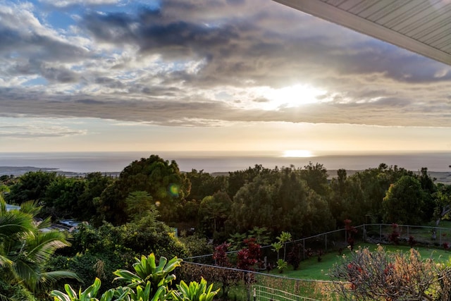 nature at dusk featuring a water view