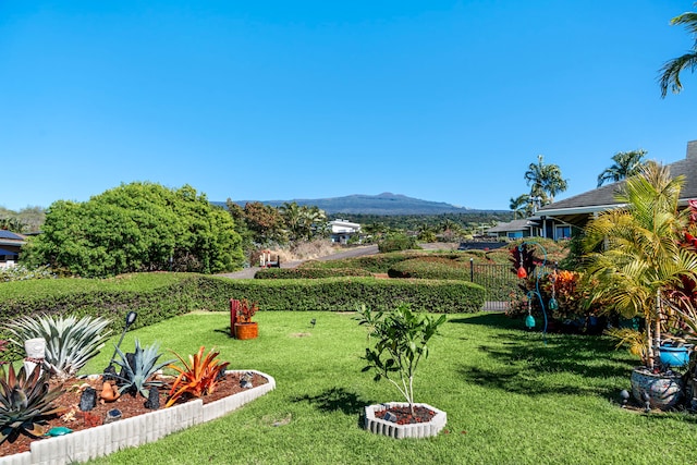 view of yard featuring a mountain view