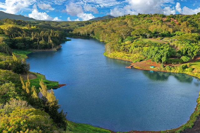 aerial view featuring a water and mountain view